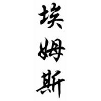 Ames Family Name Chinese Calligraphy Scroll