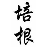 Bacon Family Name Chinese Calligraphy Scroll