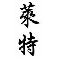 Light Family Name Chinese Calligraphy Painting