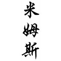 Mims Family Name Chinese Calligraphy Painting