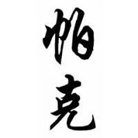 Parker Family Name Chinese Calligraphy Painting