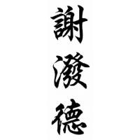 Sheppard Family Name Chinese Calligraphy Painting