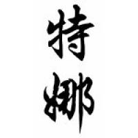 Tena Chinese Calligraphy Name Scroll