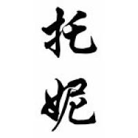 Toni Chinese Calligraphy Name Scroll